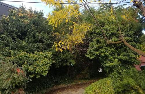 Tech, Travelling Nurse, UW, Seattle Lake Union, SU - Foto 41