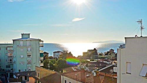 Silva - Foto 2