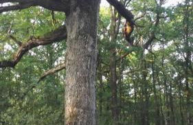 Le Refuge de la Doucette - Foto 35