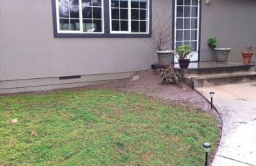 Sequoia Eagle Nest - Foto 22