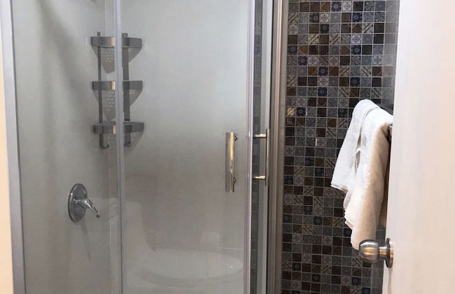 Gladiolas 2104 - Foto 11