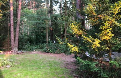 Ferienhaus Reetdach 1300qm Privatgrundstück Bootssteg Sauna Templin Lübbesee Uckermark Erholung pur Seenplatte - Photo 33