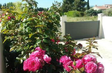 La Sarriette Provençale - Foto 17