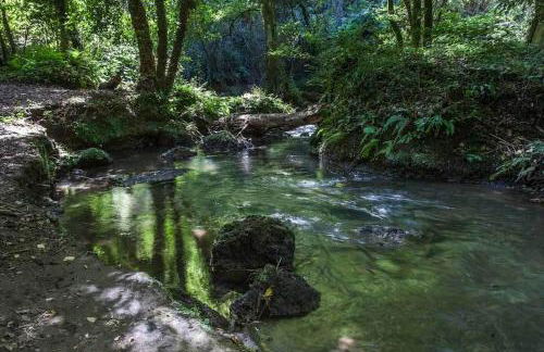 agriturismo villa amerina - Foto 43