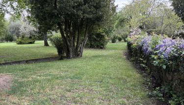 Cabaña familiar - Foto 3, Garden, Garden view