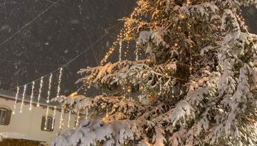 Appartamento immerso nel verde - Foto 5