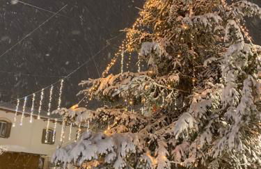 Appartamento immerso nel verde - Foto 5