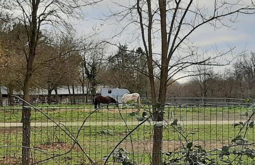 Quartier des peintres - Poussin - Foto 21