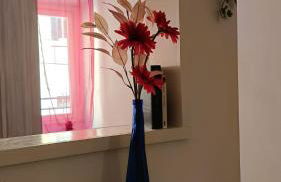 La Casa Del Vino - Marino Centro - Foto 7