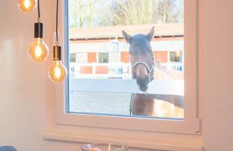 Ferienhäuser Reiterhof Boltenhagen - Foto 22