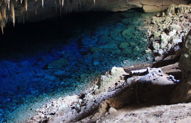 Visita guiada pela gruta do Lago Azul - Foto 5