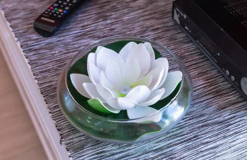 Apartments Dalmatino - Foto 78