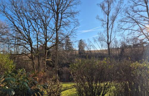 Neue moderne Ferienwohnung NaturBlick am Rothaarsteig mit Highspeed Internet Flatrate XXL Boxspringbett Terrasse mit PKW Parkplatz in Brilon 10 Minuten bis Willingen Ideal für Touristen und Geschäftsleute mit Rechnung - Foto 19