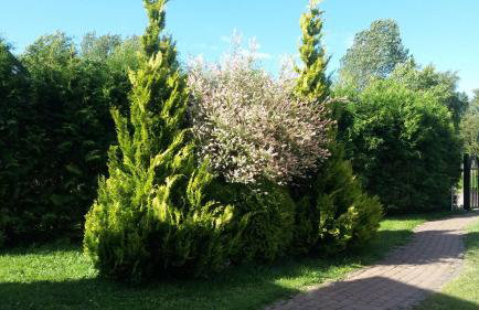 Diament Rogowo - Foto 26