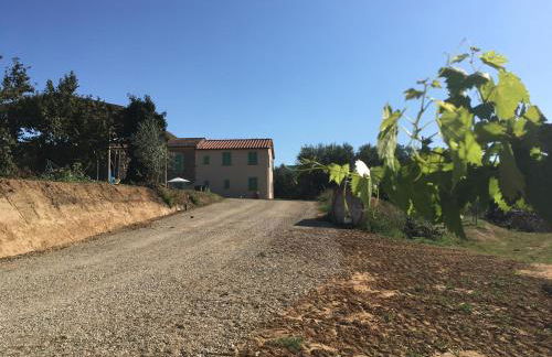 Agriturismo La Casina nel Vigneto - Foto 10