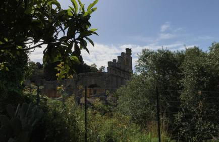 Bouganville in Villa Greco - Foto 52