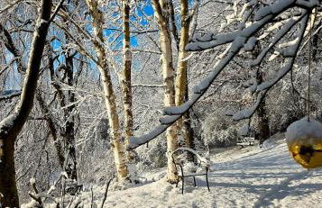 Auszeyt Edersee für Zwei - Foto 41