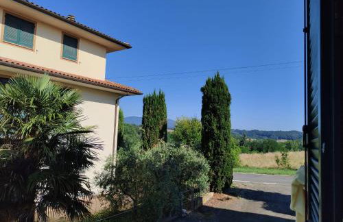 Il Poggio - Foto 25