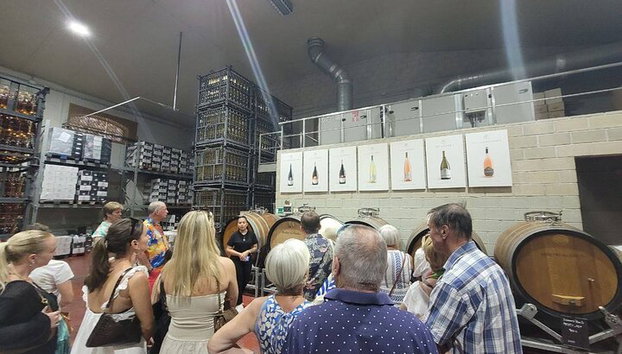 Wunderschönes Weingut in Alicante - Foto 5