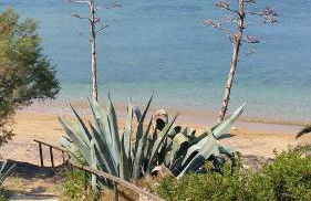 Dionisis Apartments - Photo 35