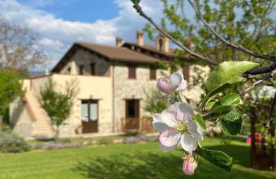 Domus Laetitiae Santa Croce - Foto 37