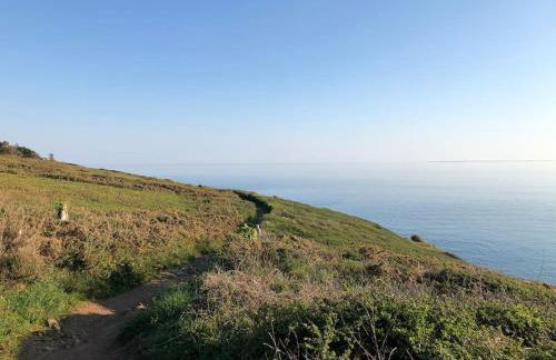 Kerijsel T3 Arzon Port du Crouesty et Port-Navalo - Foto 17