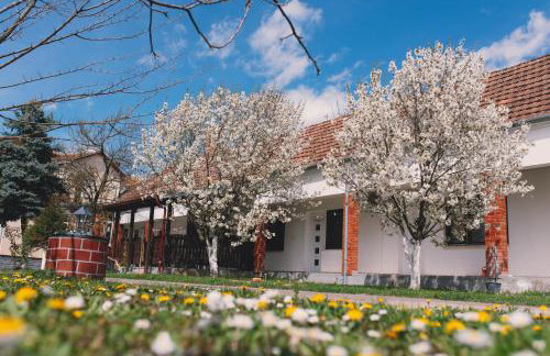 Apartman Marta i soba Maja - Foto 35