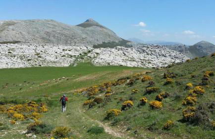 Casa La Fuente - Foto 43