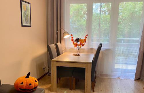 Apartament na Saperskiej, osiedle zamknięte, parking - Foto 13