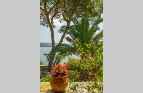 Natali's Villa by the sea - Foto 23