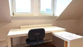 Großzügige Altbauwohnung mitten in der City - Foto 4