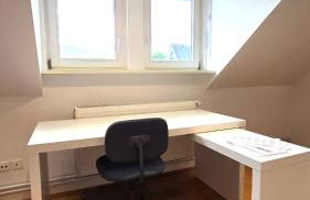 Großzügige Altbauwohnung mitten in der City - Foto 4