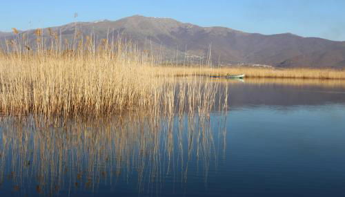 Kivotos Epavlis - Foto 3