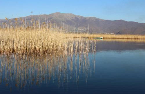 Kivotos Epavlis - Foto 3