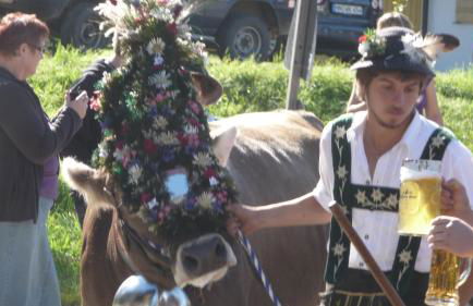 Gastehaus Luise - Photo 7