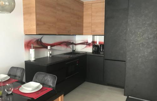 APARTAMENT D-7 W OBIEKCIE NAUTIKKA PARK - Foto 17