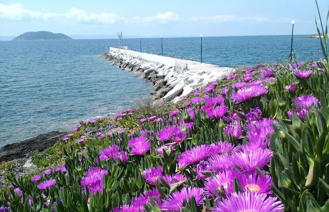 Welcome To Hotel Petunia, In Neos-marmaras,xalkidiki ,greece, Triple Room 7 - Foto 11