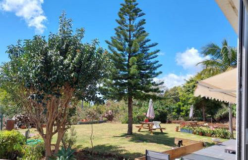 Viewpoint Machico - Lovely Nature View - Foto 1