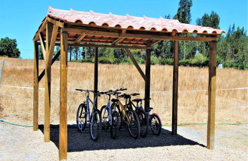 Monte Calmaria by Estilo Lusitano, with private pool and Jacuzzi - Foto 37