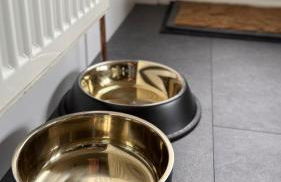 Wisteria Cottage - Photo 9