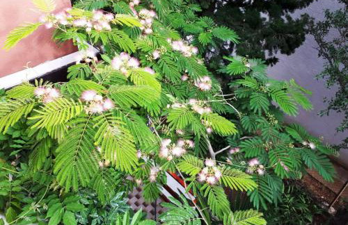 Apartment Mia - Photo 24