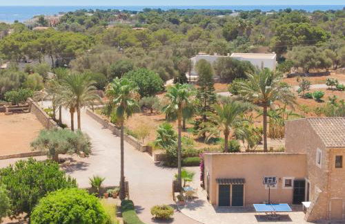 Finca Sonduri - Foto 55