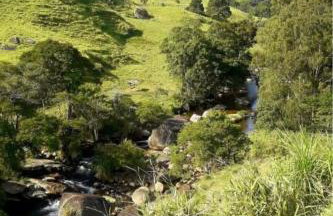 Hospedagem Doce Lar - Casa Azaleia - Foto 17