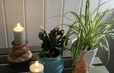 La Gilbertine - Foto 7