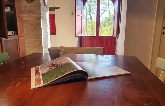 Il Casale del Duca in Rocca San Giovanni - Foto 15