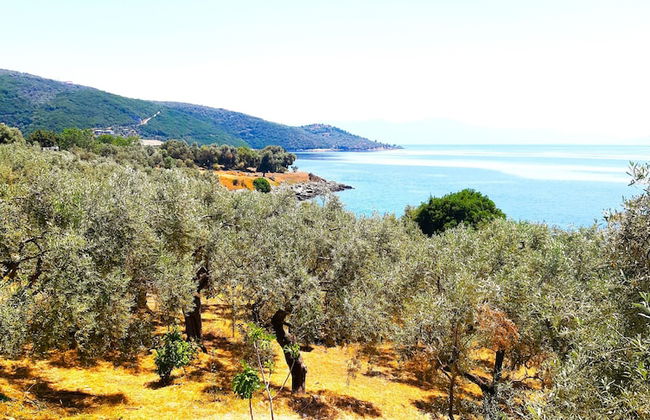 Villa Leonidas GreeceFiloxenia - Photo 46