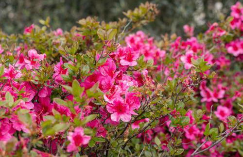 Agriturismo Pozzo Fiorito - Foto 73