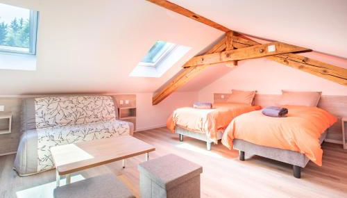 Ecrin - White Lake - Terrasse - Local velo et ski - Foto 2