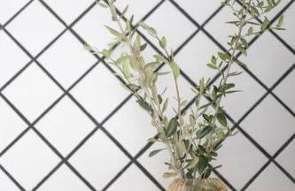 Casa del Vince - Foto 7