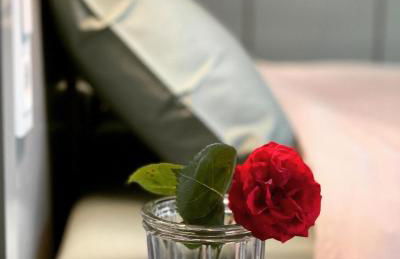 Château Doré les Tours - Appartement Renard - Proche Puy du Fou - Photo 17